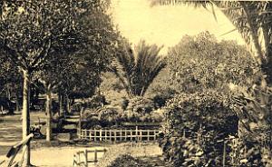 CN ea- 010- Petit Vichy